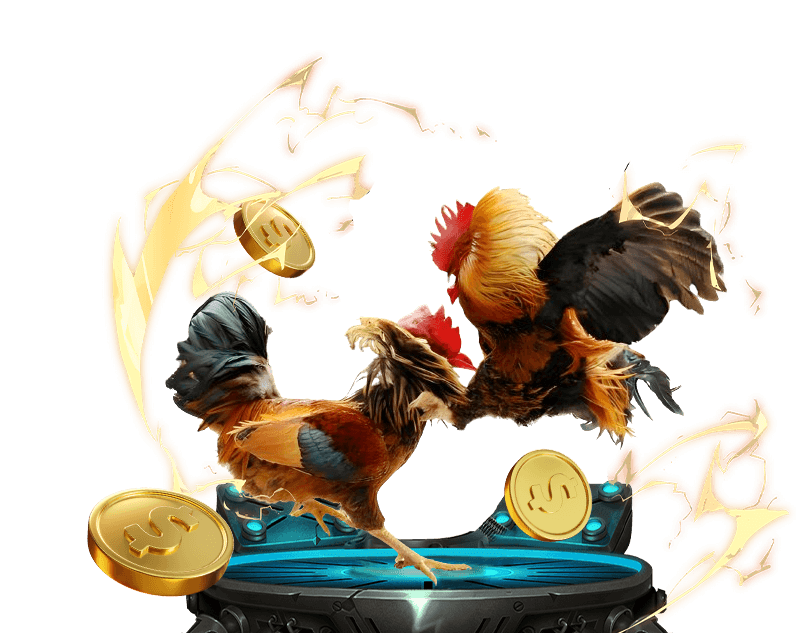 Dabet đá gà trực tiếp, các giải đấu hấp dẫn