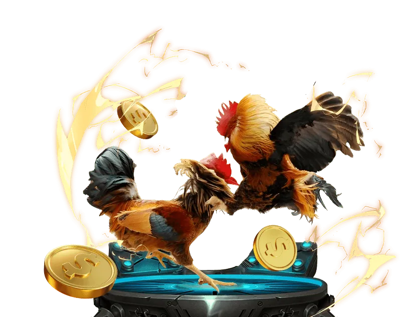 Dabet đá gà trực tiếp, các giải đấu hấp dẫn